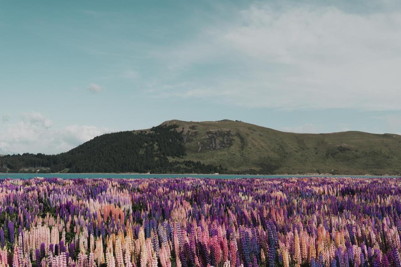 Mt John Homestead Lake Tekapo